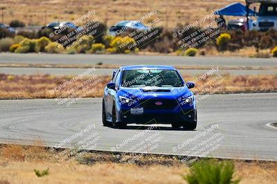 media/Nov-16-2024-Extreme Speed (Sat) [[6587d07cc4]]/Gold Group/Session 2 (Turns 3 and 5)/